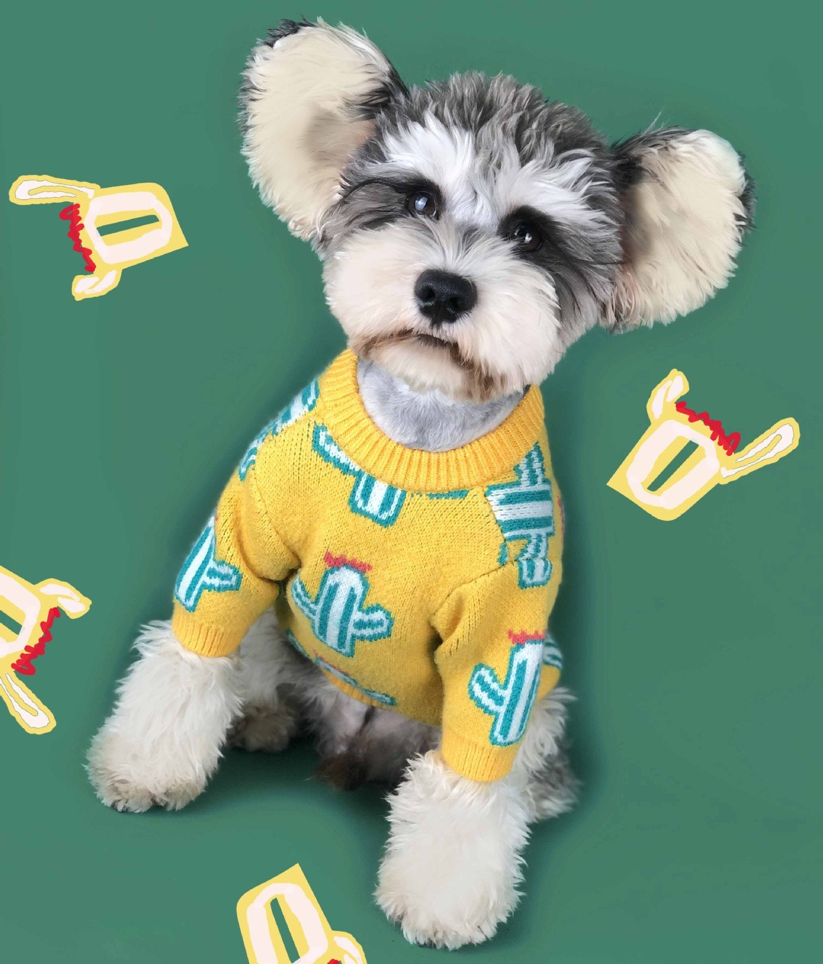 Cactus Pattern Pet Sweater: A Must-Have for Stylish Pets