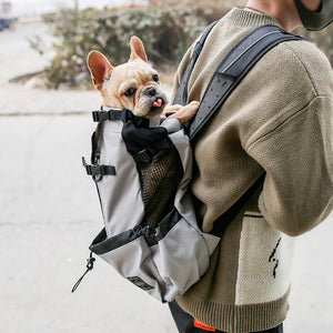 Pet Carrier Backpack For Comfortable Outdoor Travel