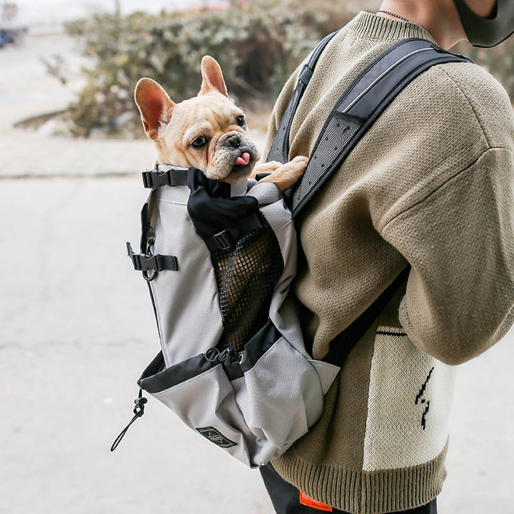 Pet Carrier Backpack For Comfortable Outdoor Travel