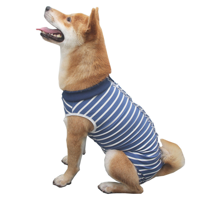Fashionable Multicolor Pet Clothes For Everyday Comfort And Style
