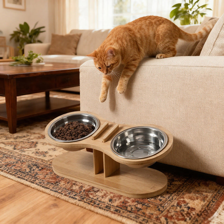 Elevate Your Pet's Dining Experience with Our Adjustable Tilted Pet Feeding Stand