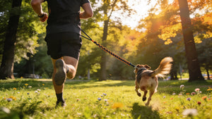 Safe Adventures With Pet Leashes