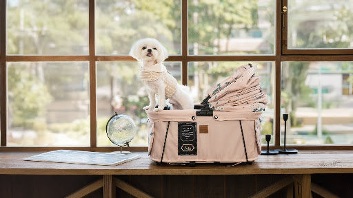 Comfortable Travel With Pet Carriers